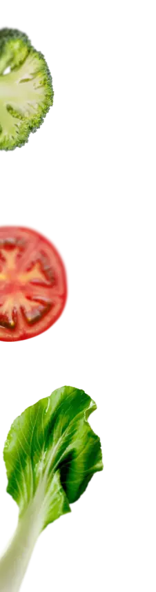 Zalado